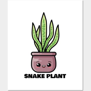 Snake Plant Posters and Art